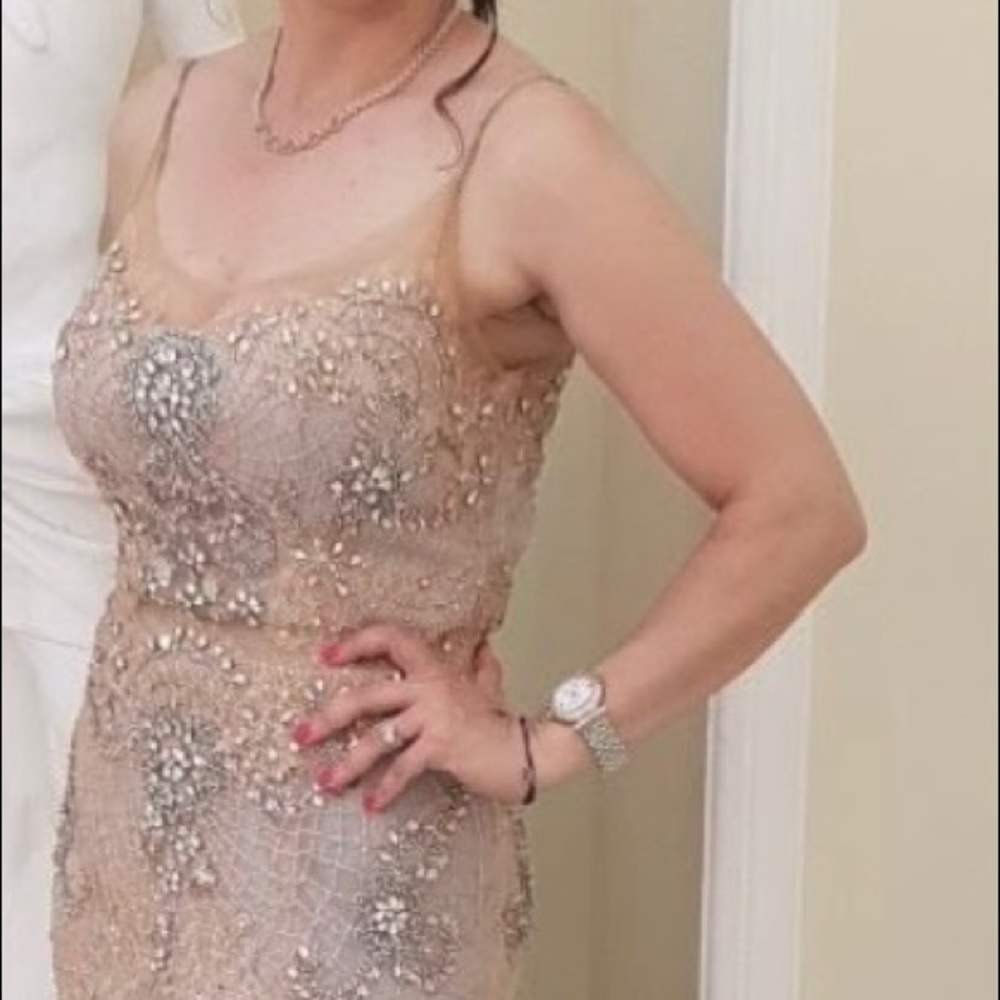 Terani evening dress size 10